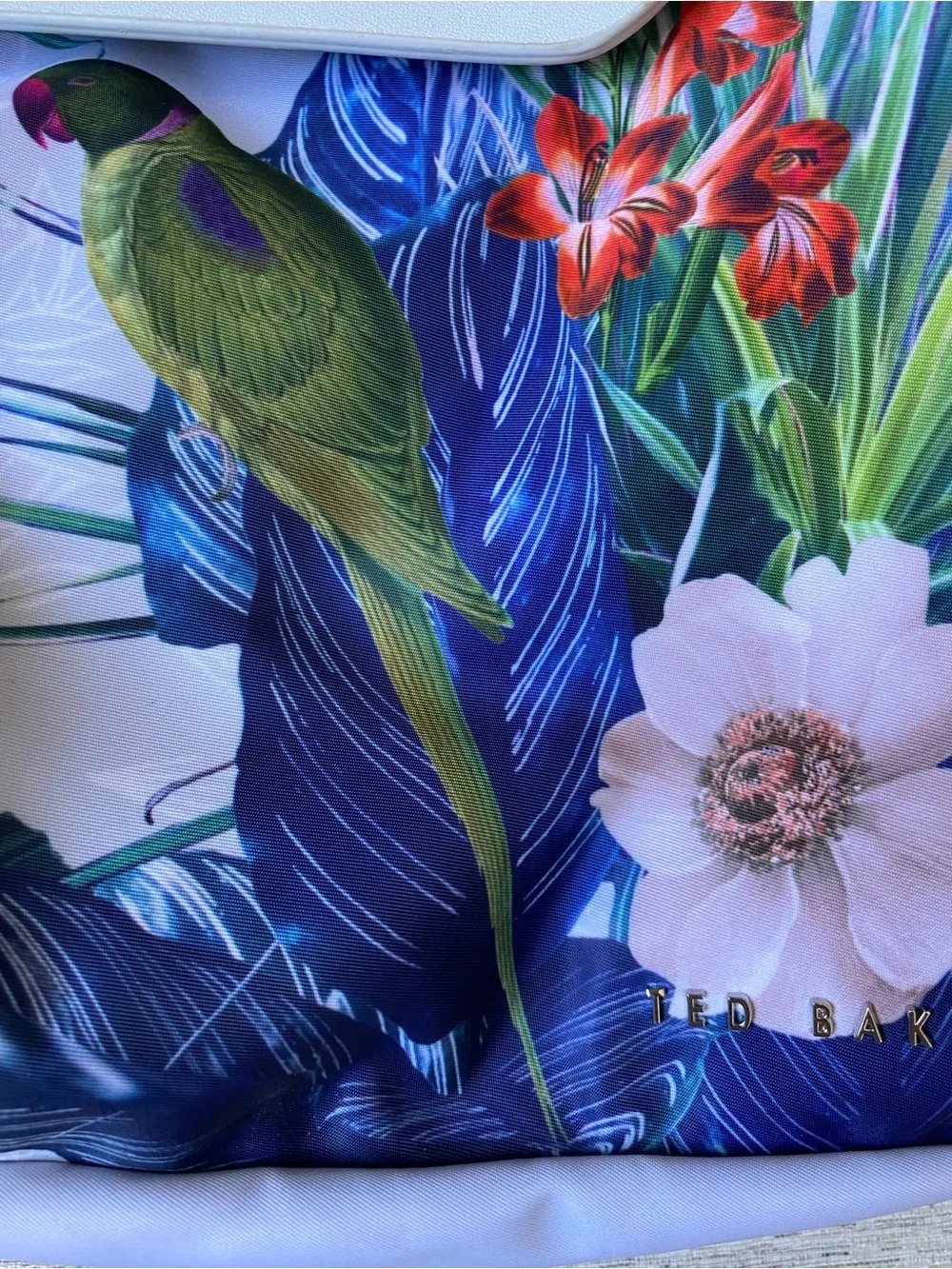 Ted Baker ted baker